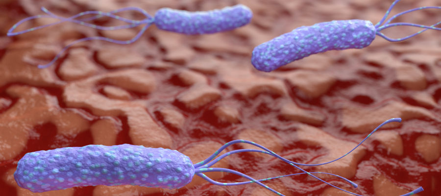 Test de Helicobacter Pylori - Agenda tu cita